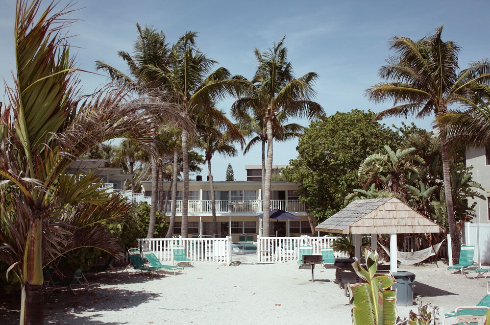 Coquina On The Beach - photo 58