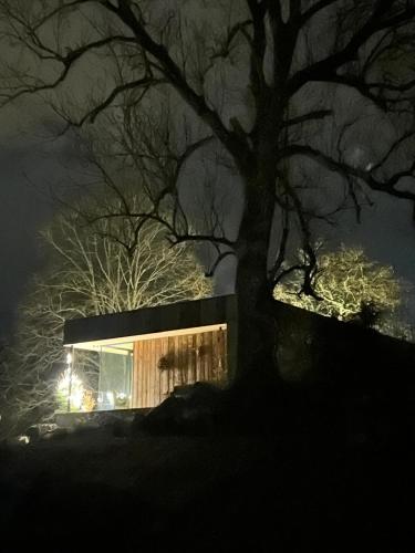 Slow Refuge in Unknown City, Belgium