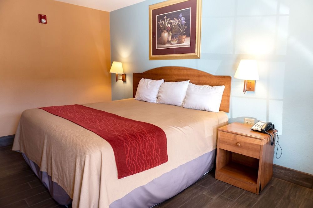 Coratel Inn and Suites By Jasper Anthony - photo 14
