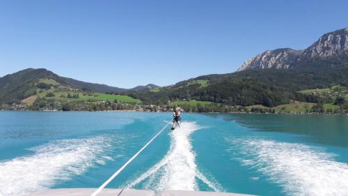 Biohof Schwanser — Steinbach Am Attersee — photo 5
