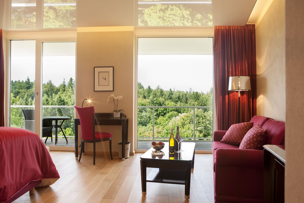 Schwitzer's Hotel am Park — 4-Star Luxury Hotel in Reichenbach, Germany