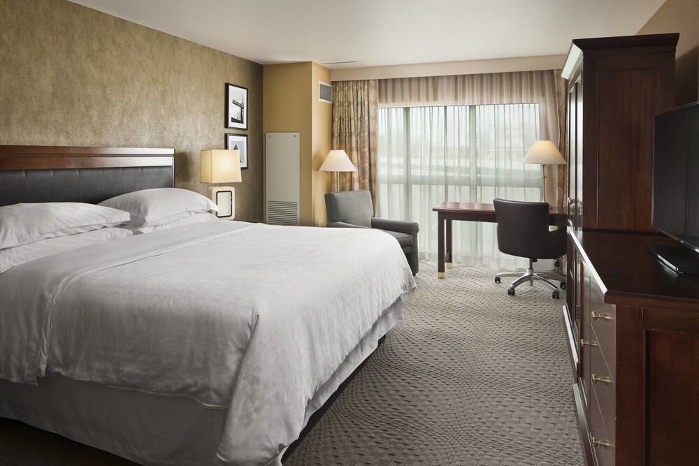Sheraton Sioux Falls Hotel & Convention Center - photo 10