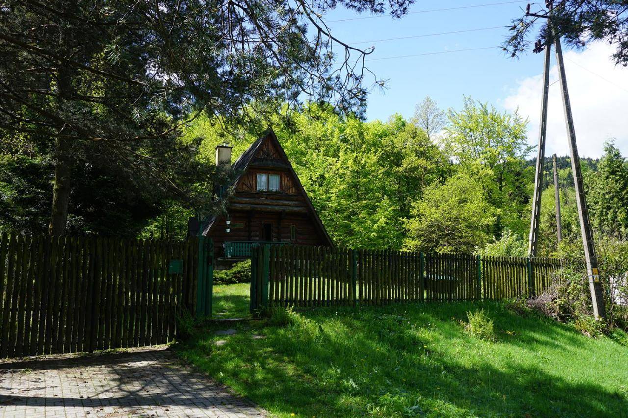 Kosarzowka — Bielsko-Biala — photo 2