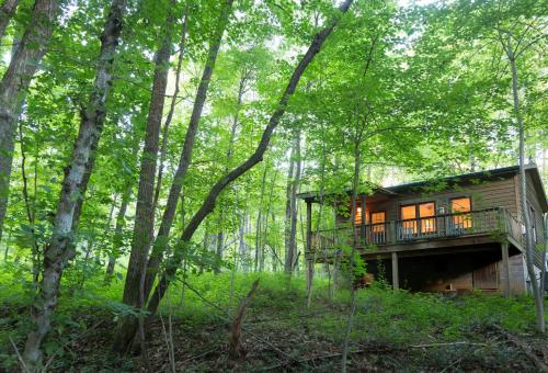 Inn & Spa at Cedar Falls - photo 4