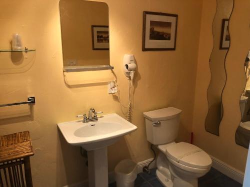 Calypso Inn Wilton Gay Male Resort - photo 2