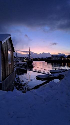 Kule gule huset — Svolvaer — photo 2