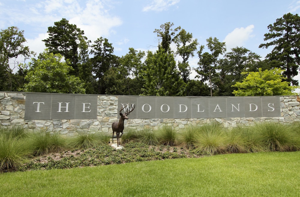 Homewood Suites by Hilton Houston Woodlands - photo 42