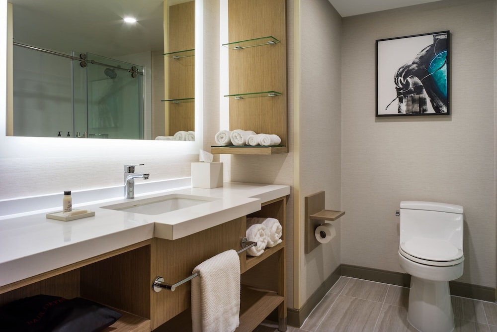 Delta Hotels Ontario Airport - photo 15