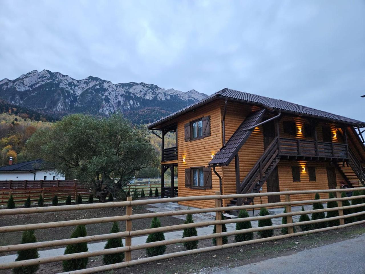 Apartamente Creasta Craiului in Zarnesti, Romania