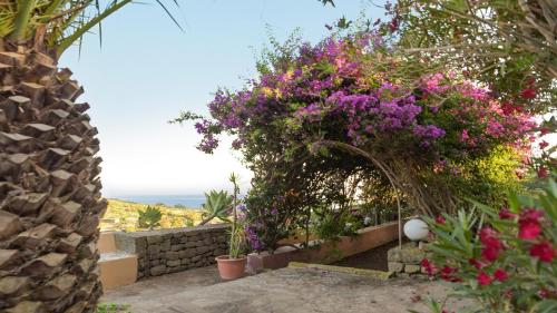 Dammuso Blanco in Pantelleria, Italy