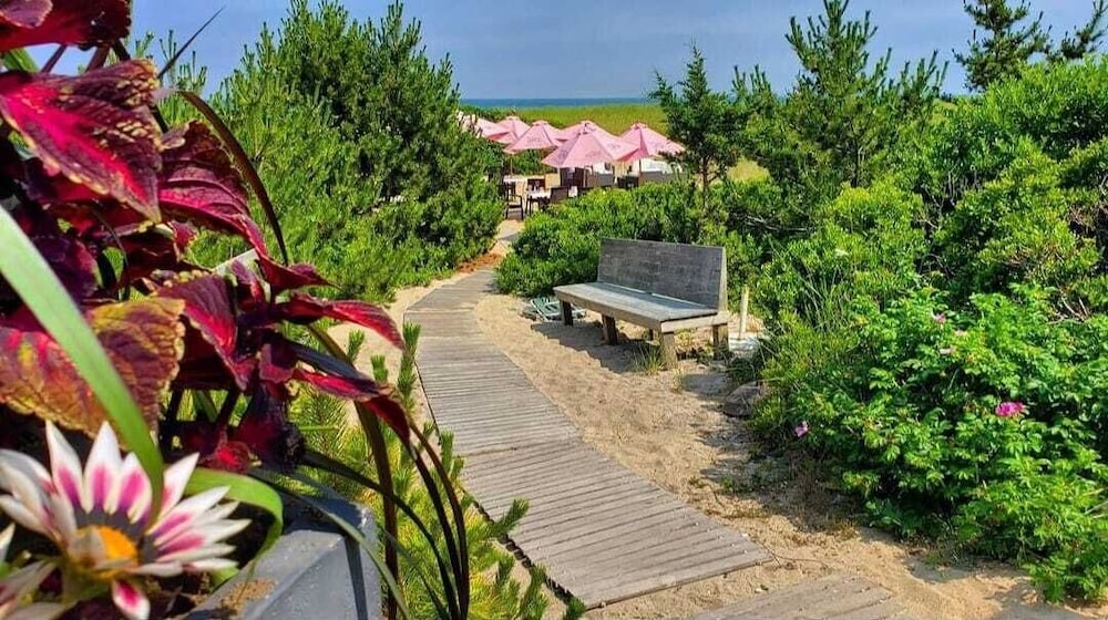 Summer House Hotel - photo 20