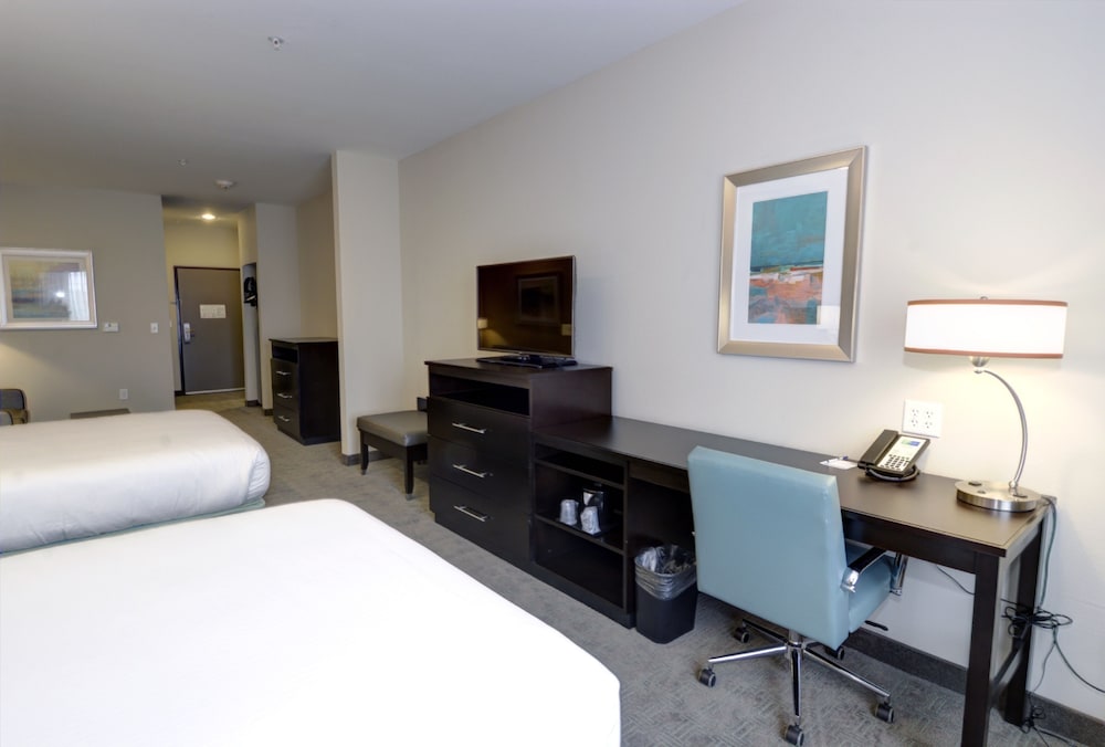Holiday Inn Express & Suites Austin South by IHG - photo 13