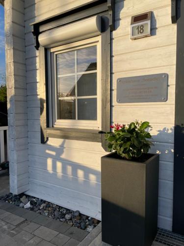 Blockhaus Seeadler Dein Rückzugsort zwischen Boddenstille und Meeresrauschen in Dranske, Germany