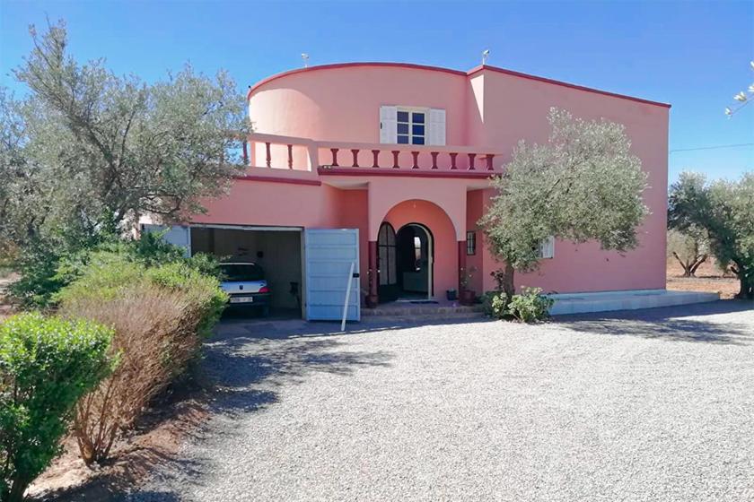 Olivenparadies in Sidi Abdallah Ghiat, Morocco