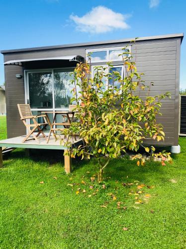 40 Winks — 5-Star Luxury Hotel in Otorohanga, New Zealand