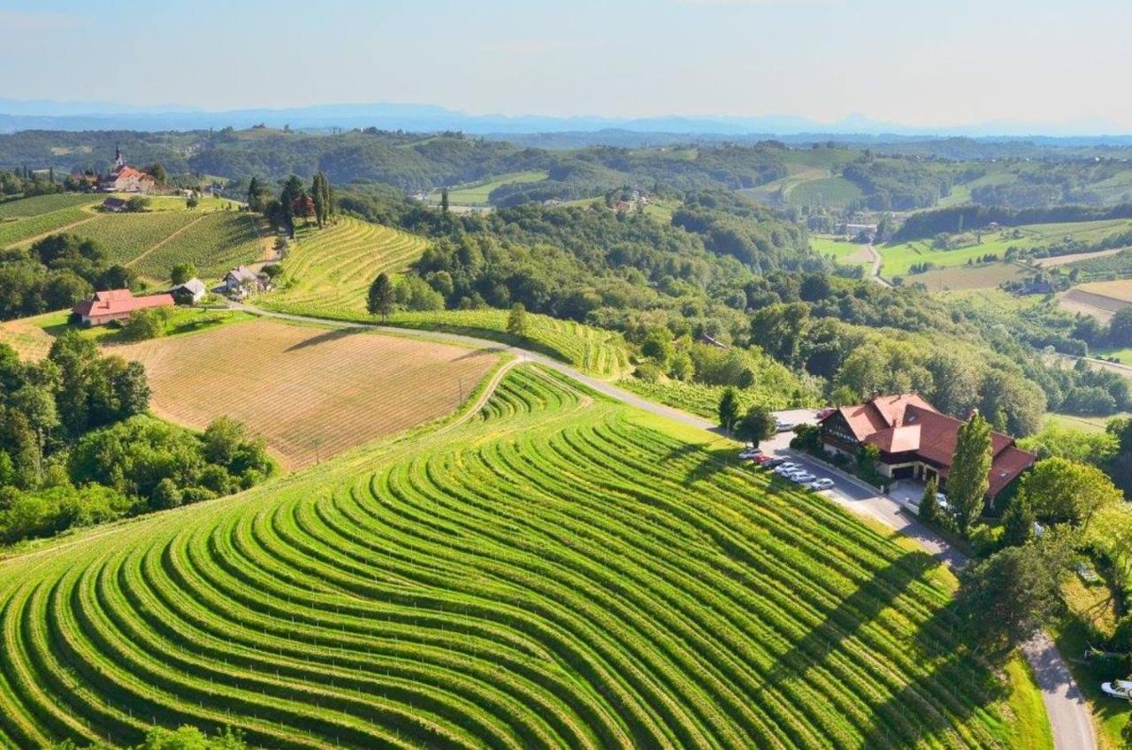 Taverna & Wine Jeruzalem in Ormoz, Slovenia