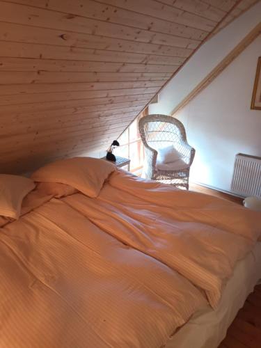 Nilseni in Jelgava, Latvia