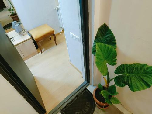 New apartment BARNABA close to Holiday Inn