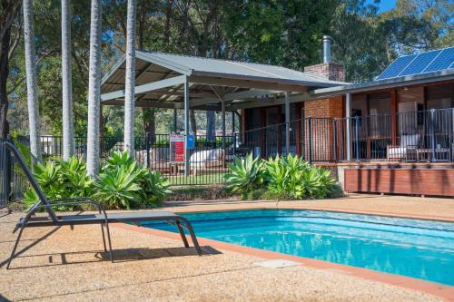 Koalas at Links Lighthouse Beach in Port Macquarie, Australia