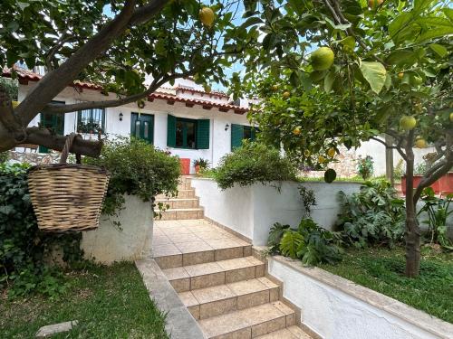 Perivolakia Garden View — hotel in Rafina