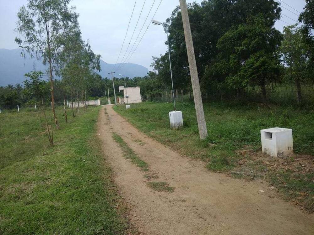 Pepy Vedha Farmstay — Periyakulam — photo 3