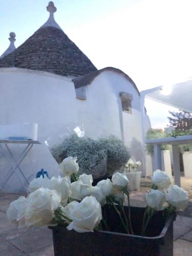 Trullo Trilli Puglia in Martina Franca, Italy