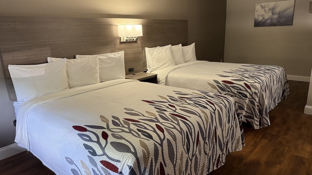 Red Roof Inn & Suites Swansea - photo 14