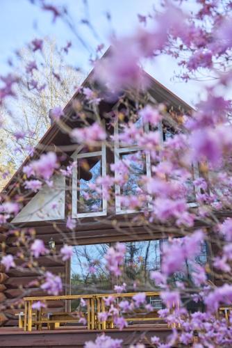 Yatsugatake Hachi 八ヶ岳 ハチ in Hokuto, Japan