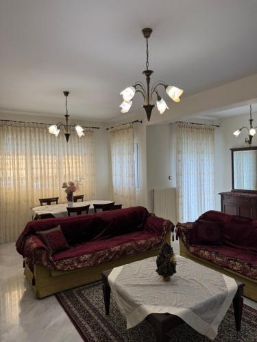 Triangle Park Apartments A1 — Kozani — photo 4