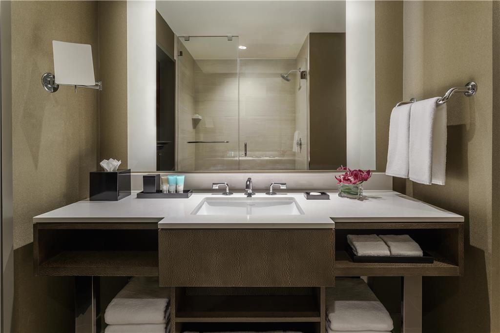 Hyatt Regency Tysons Corner Center - photo 6