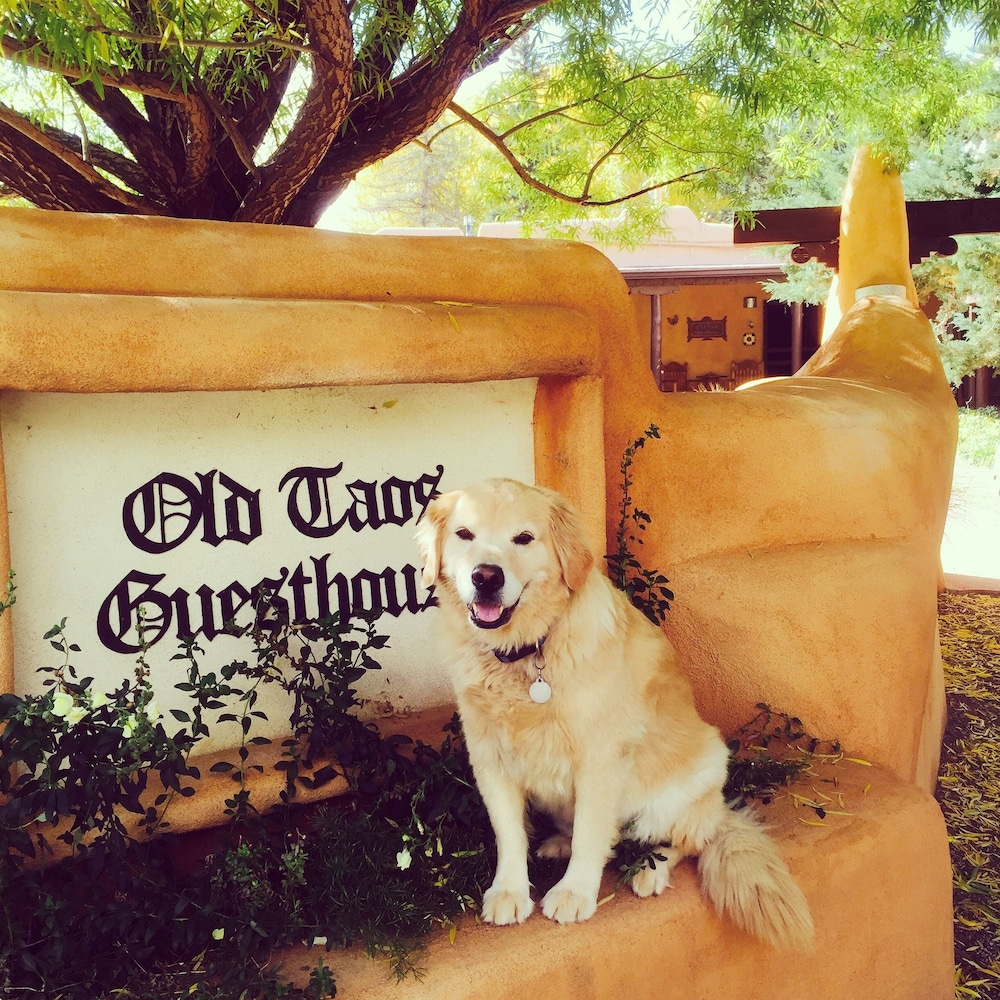Old Taos Guesthouse B&B - photo 29
