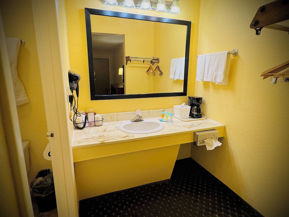 Alamo Inn - photo 13
