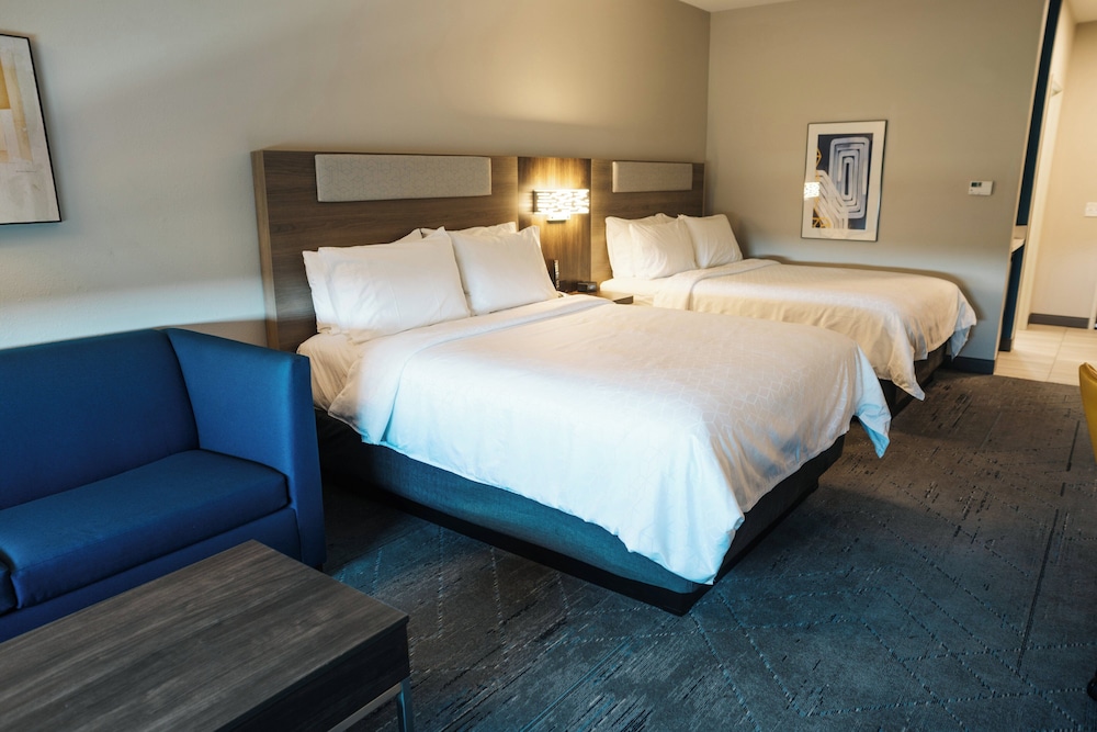 Holiday Inn Express & Suites McCalla Birmingham West by IHG - photo 19
