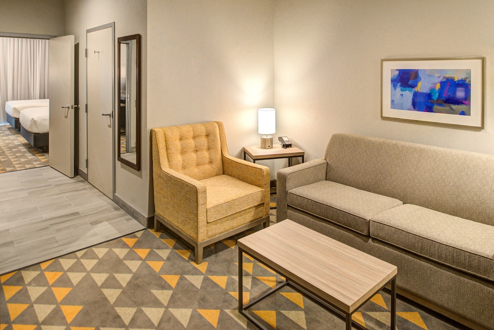Holiday Inn Hotel & Suites Houston West Katy Mills by IHG - photo 13
