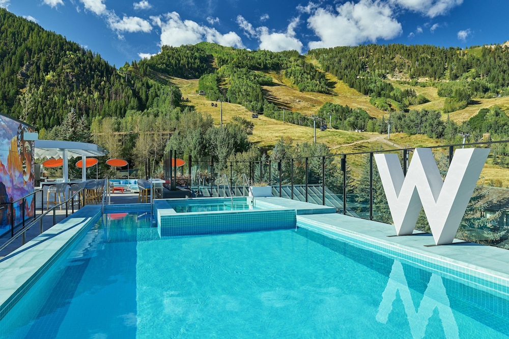 The Sky Residences at W Aspen - photo 24