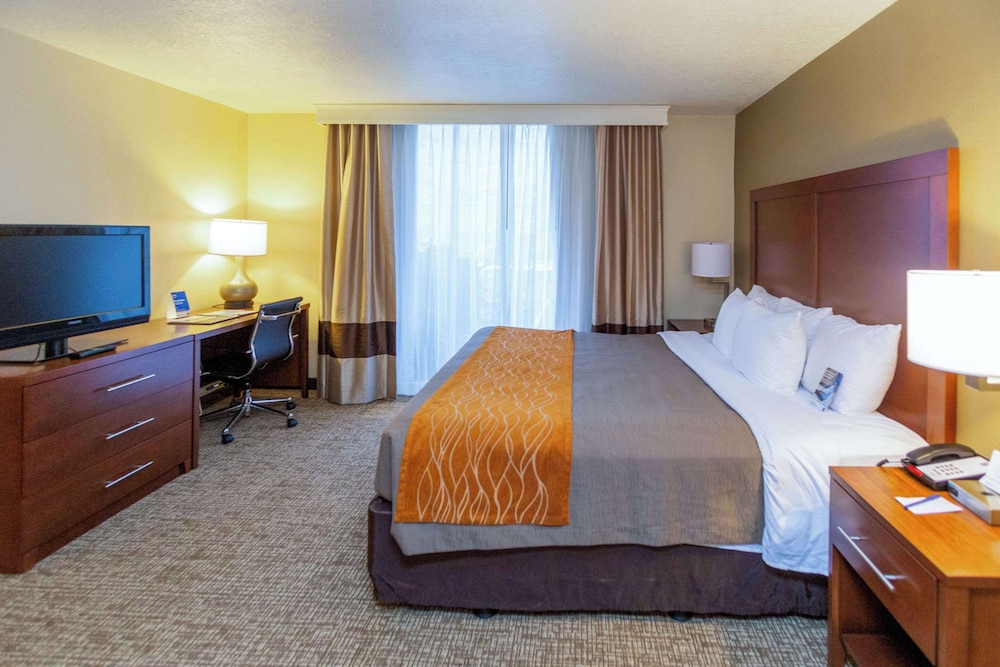Comfort Inn Salt Lake City Downtown - photo 34