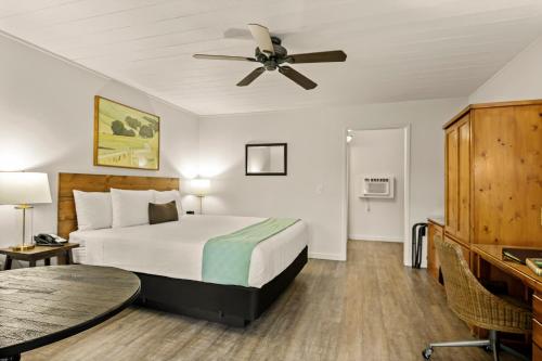 El Pueblo Inn - photo 59