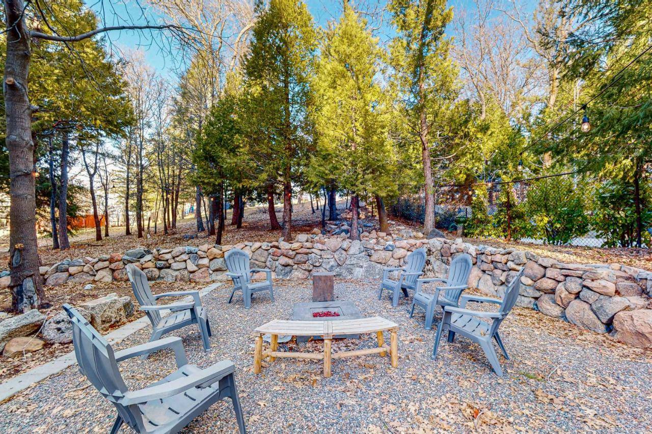 Saint Bernard Beauty in Lake Arrowhead, United States
