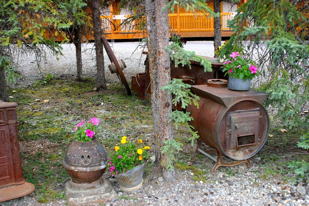 Denali Grizzly Bear Resort - photo 10
