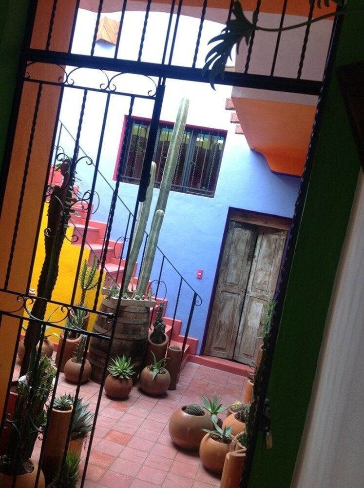 Casona Hornedo — Aguascalientes — photo 4