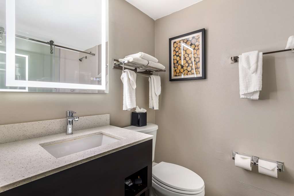Best Western Atlanta Marietta Ballpark Hotel - photo 22