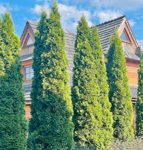 Villa Pandora Zakopane Centrum — 4-Star Luxury Hotel in Zakopane, Poland