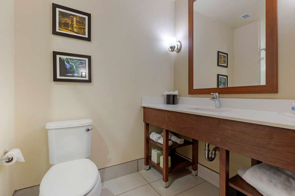 Comfort Suites Piedmont Greenville South - photo 25