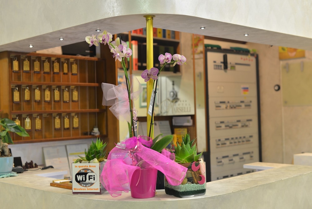 Hotel Marselli - last minute hotel in Rimini