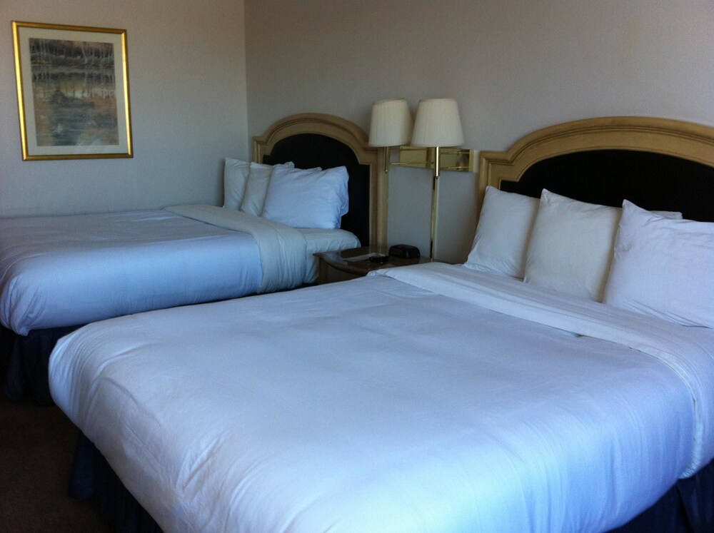 Airport Inn Hotel - photo 20