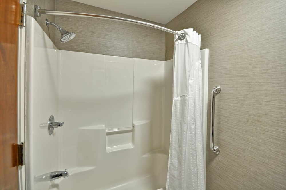 Holiday Inn Express Romulus Detroit Airport - photo 18