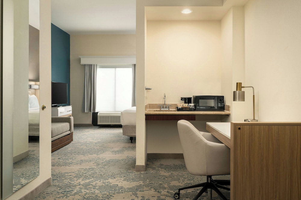 SpringHill Suites by Marriott Tampa Westshore Airport - photo 16