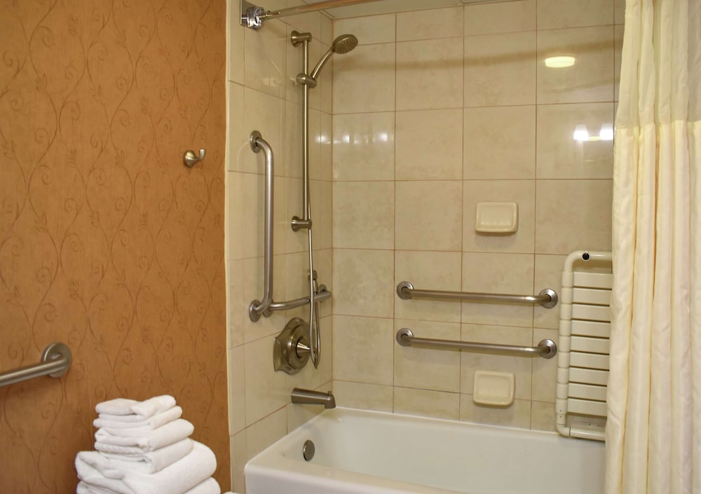 DoubleTree by Hilton Asheville Biltmore - photo 66