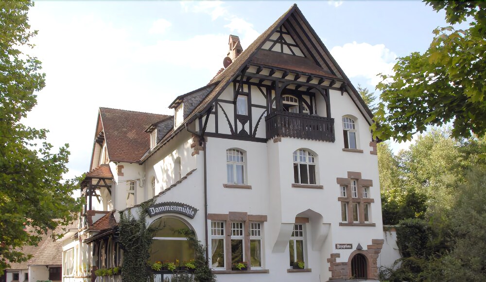 Hotel Dammenmv Hle in Lahr, Germany
