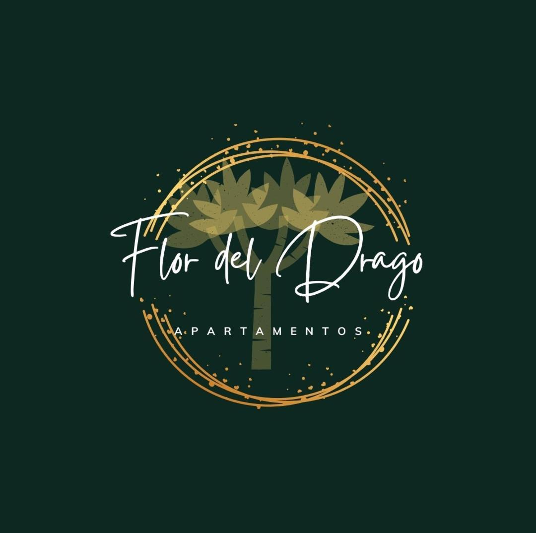 Flor Del Drago in Icod De Los Vinos, Spain